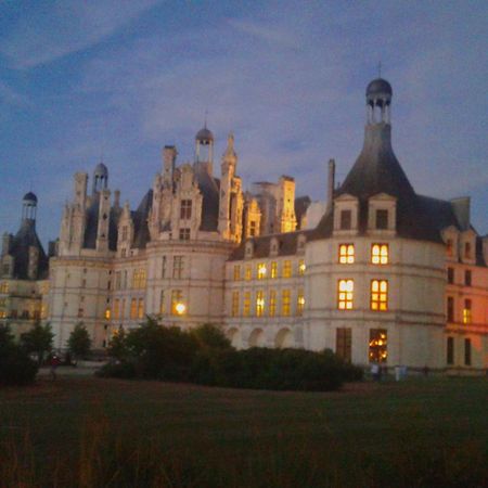 Gite L'Opale Villa Lailly-en-Val Exterior photo